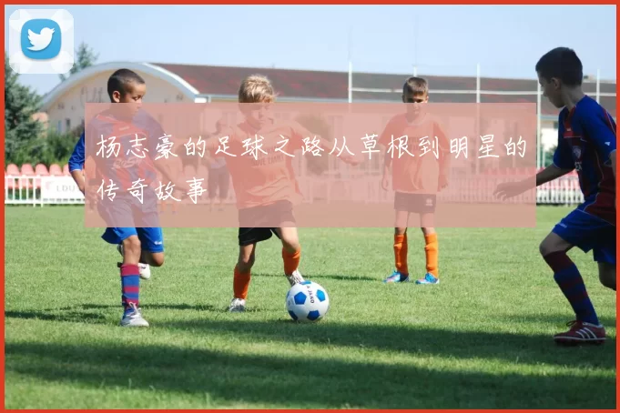 杨志豪的足球之路从草根到明星的传奇故事