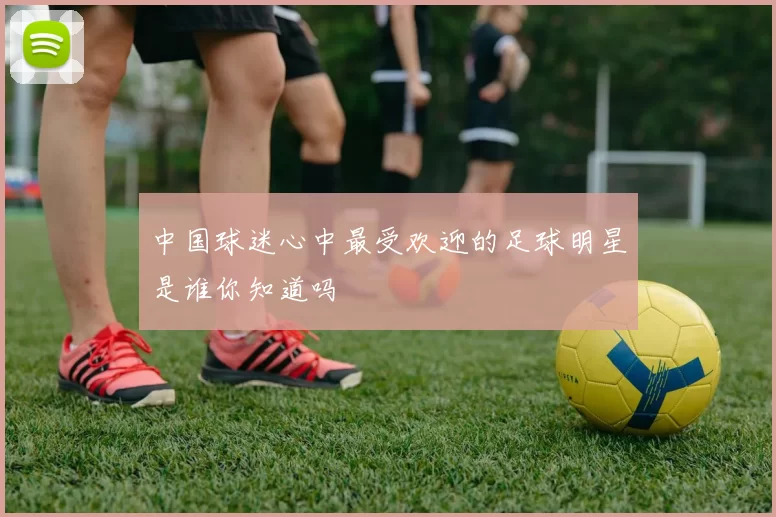 中国球迷心中最受欢迎的足球明星是谁你知道吗