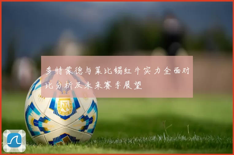 多特蒙德与莱比锡红牛实力全面对比分析及未来赛季展望
