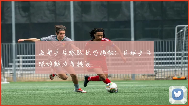 成都乒乓球队状态揭秘：巨献乒乓球的魅力与挑战