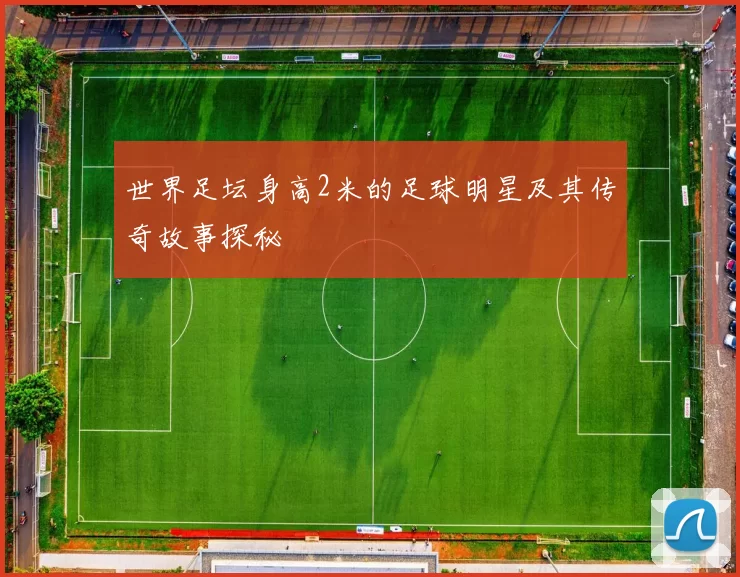 世界足坛身高2米的足球明星及其传奇故事探秘