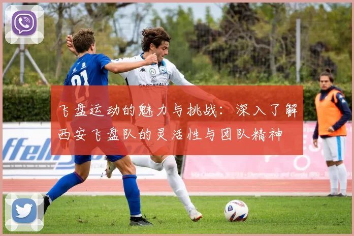 飞盘运动的魅力与挑战：深入了解西安飞盘队的灵活性与团队精神