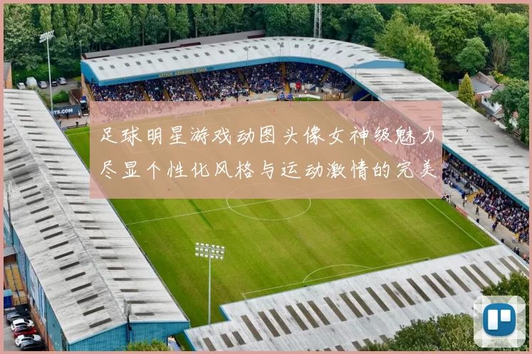 足球明星游戏动图头像女神级魅力尽显个性化风格与运动激情的完美结合