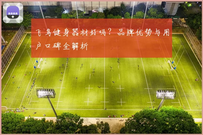 飞鸟健身器材好吗？品牌优势与用户口碑全解析