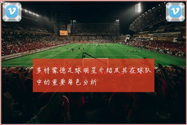 多特蒙德足球明星介绍及其在球队中的重要角色分析