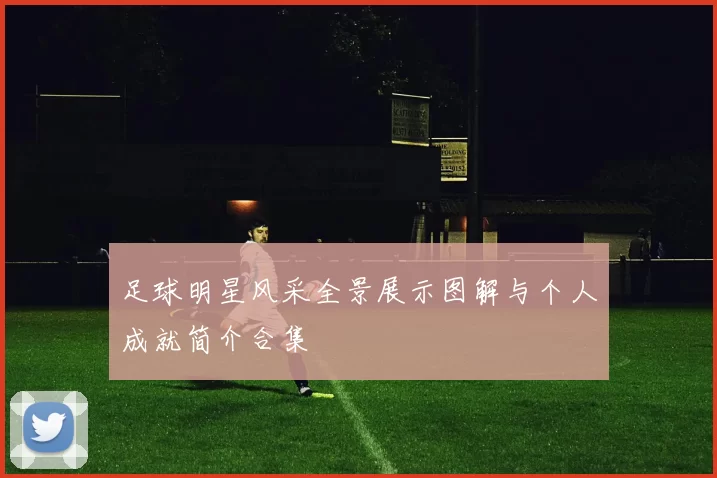 足球明星风采全景展示图解与个人成就简介合集