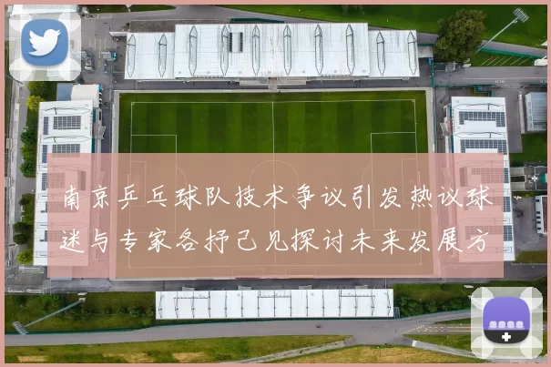 南京乒乓球队技术争议引发热议球迷与专家各抒己见探讨未来发展方向