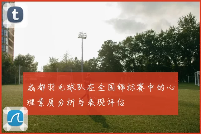 成都羽毛球队在全国锦标赛中的心理素质分析与表现评估