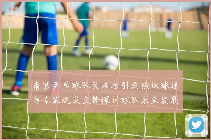 南京乒乓球队灵活性引发热议球迷与专家观点交锋探讨球队未来发展