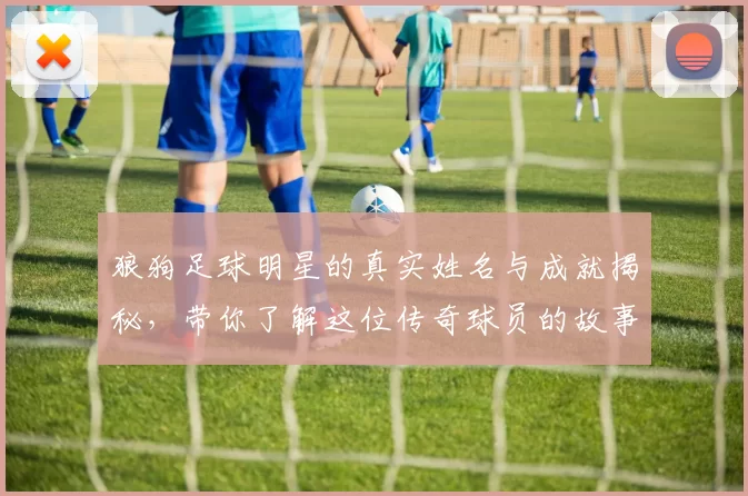 狼狗足球明星的真实姓名与成就揭秘，带你了解这位传奇球员的故事