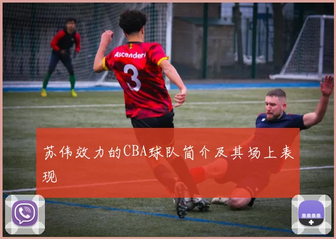 苏伟效力的CBA球队简介及其场上表现