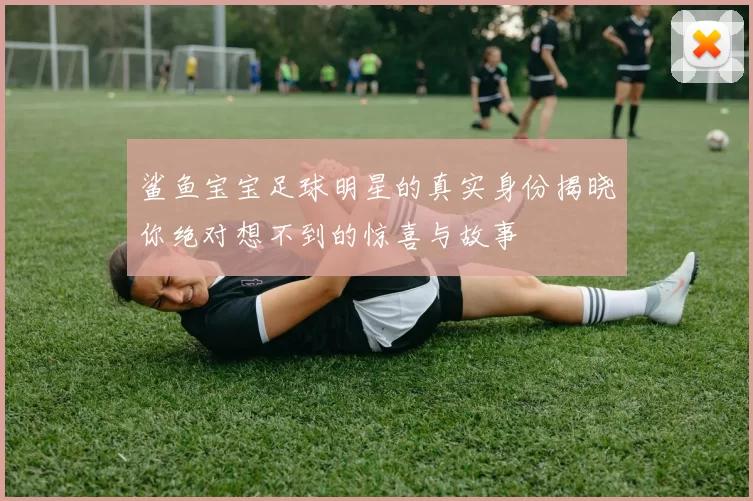 鲨鱼宝宝足球明星的真实身份揭晓你绝对想不到的惊喜与故事