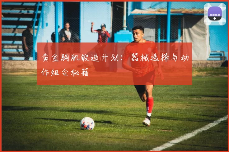 黄金胸肌锻造计划：器械选择与动作组合秘籍
