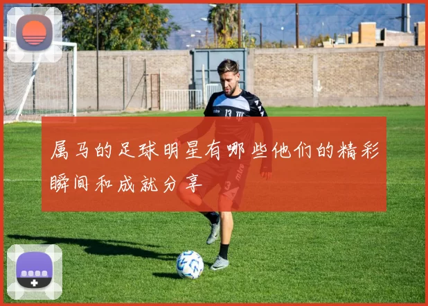 属马的足球明星有哪些他们的精彩瞬间和成就分享