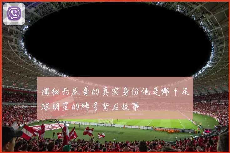 揭秘西瓜哥的真实身份他是哪个足球明星的绰号背后故事