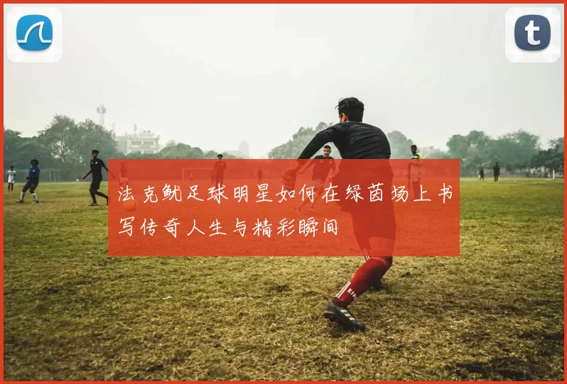 法克鱿足球明星如何在绿茵场上书写传奇人生与精彩瞬间