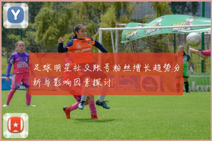 足球明星社交账号粉丝增长趋势分析与影响因素探讨